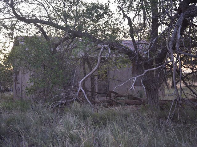 NM Route 66 Bard Ghost Town