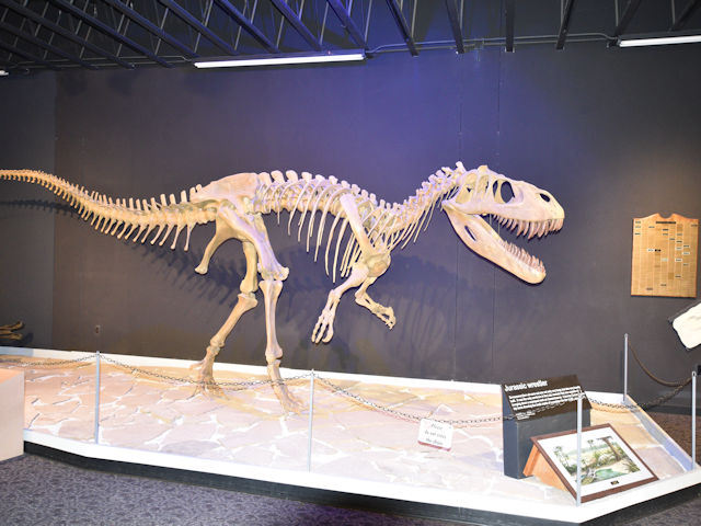 Dinosaur Museum