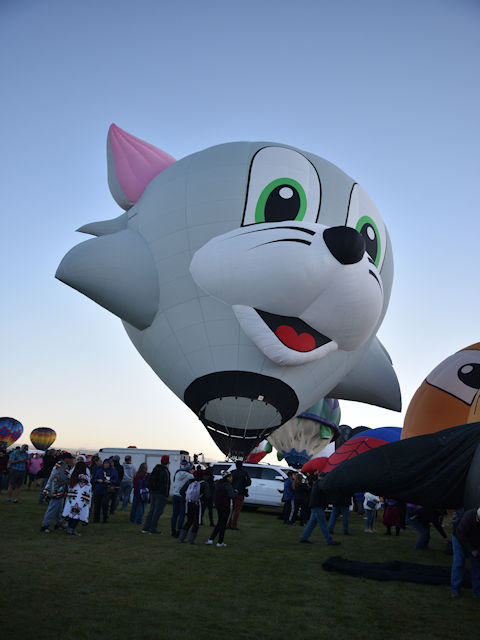 Albuquerque Balloon Festival