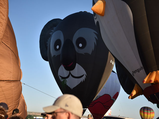 Albuquerque Balloon Festival