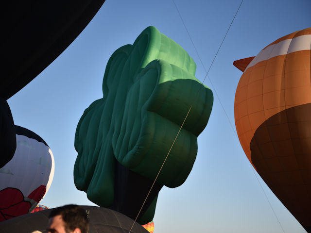 Albuquerque Balloon Festival