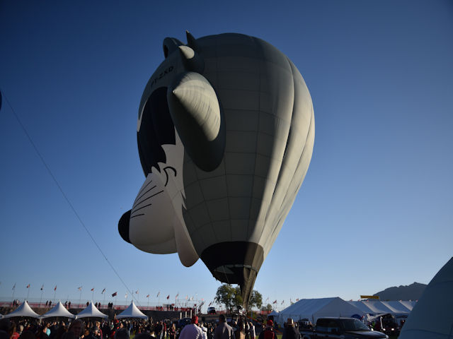 Albuquerque Balloon Festival