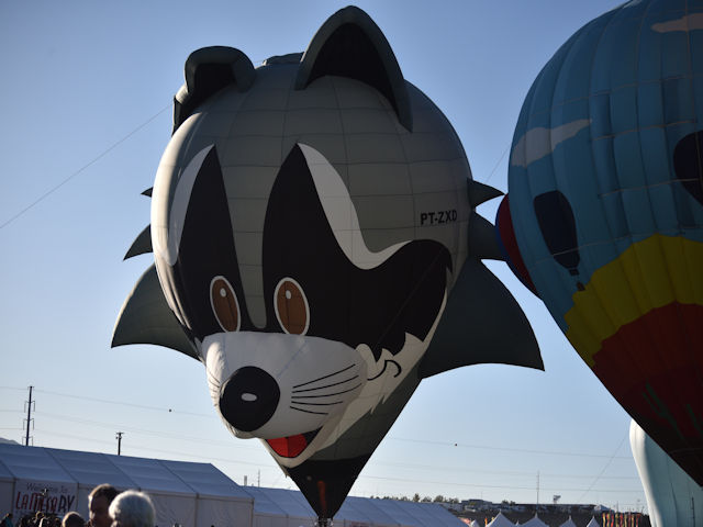 Albuquerque Balloon Festival