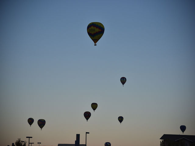 Balloons over Albuquerque NM