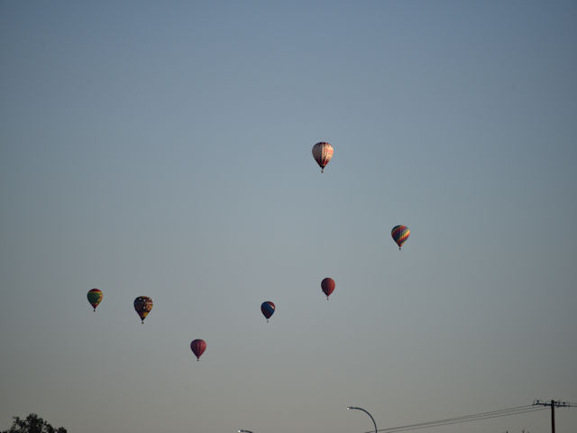 Balloons over Albuquerque NM