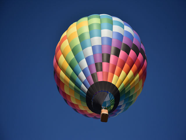 Balloon over the Dog House