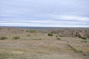 Landscape around Alanreed TX