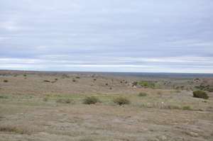 Landscape around Alanreed TX