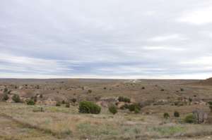 Landscape around Alanreed TX