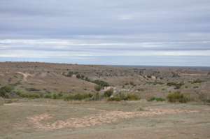 Landscape around Alanreed TX