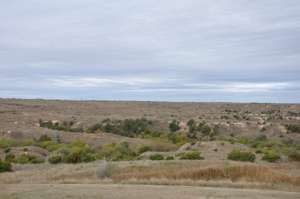 Landscape around Alanreed TX